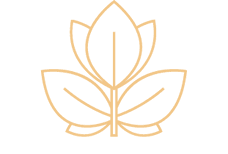 Cilantros - Nelson Mandela Square logo