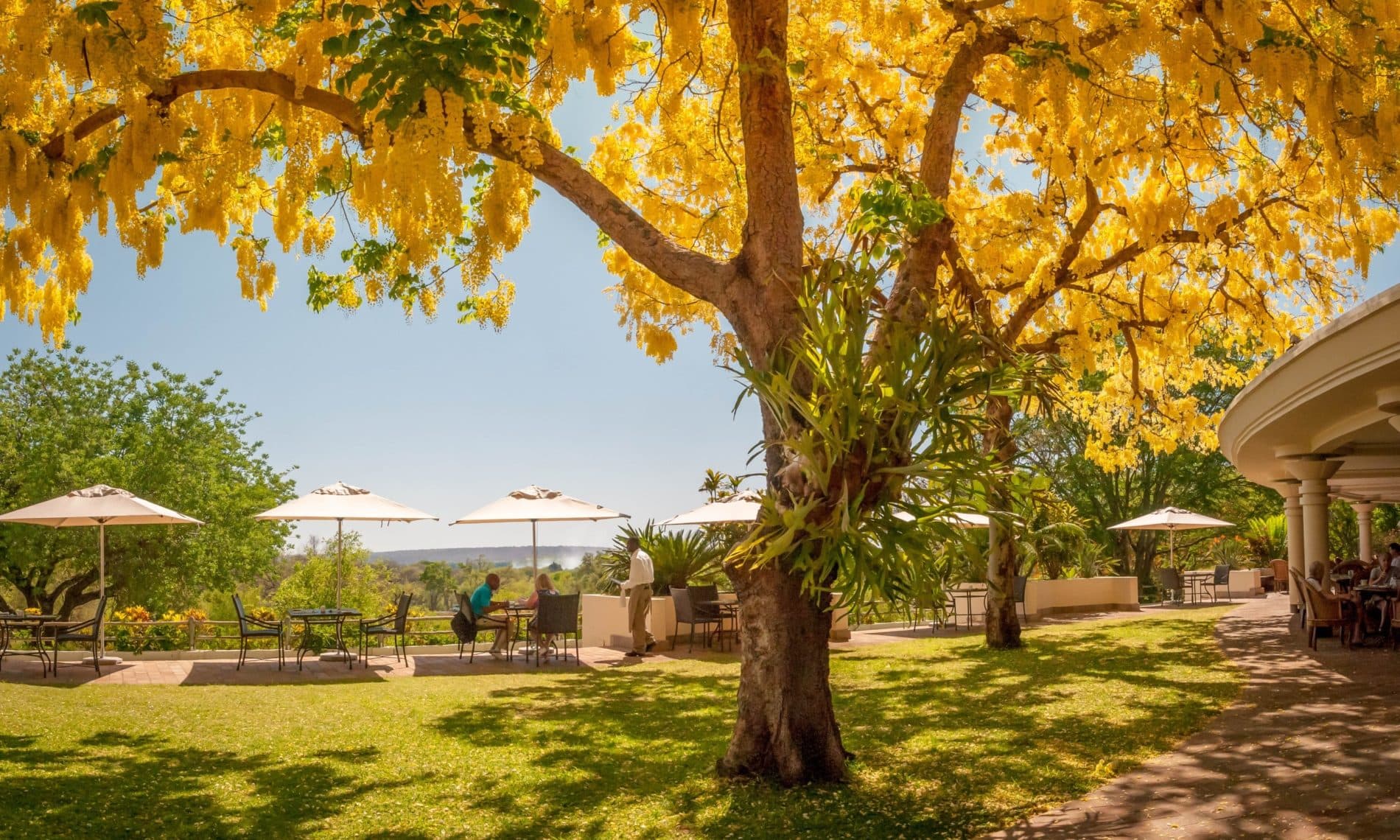 The Cassia Restaurant