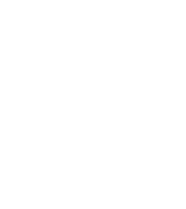 Blu Bam Boo logo